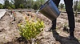 Water usage: agro-irrigation and urban wastewaters Water usage: agro-irrigation and urban wastewaters