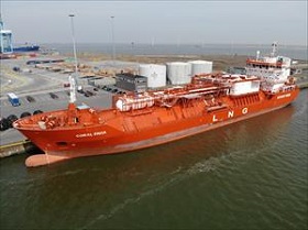 200213_coral_favia.jpg 200213_coral_favia.jpg