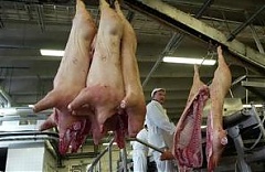 Estonian pig farmers to get exceptional direct subsidies from EU Estonian pig farmers to get exceptional direct subsidies from EU