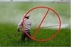 Estonia in favor of ban on plant protection agent dimethoate Estonia in favor of ban on plant protection agent dimethoate
