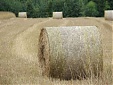 Exports of Latvian agricultural and food products on rise in H1