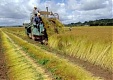 Symbolic activity of Latvian townsmen and farmers “Country Enters the City” launched