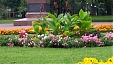 Festival of flowers opens in Tallinn Festival of flowers opens in Tallinn
