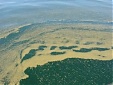 Almost half of EU freshwaters suffer from chemical pollution Almost half of EU freshwaters suffer from chemical pollution