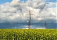 Lithuania's avg electricity market price rises 8 pct w/w Lithuania's avg electricity market price rises 8 pct w/w