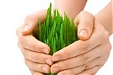 Estonian govt okays insurance support scheme for farmers Estonian govt okays insurance support scheme for farmers