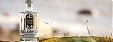 Estonian craft gin producer Lahhentagge is planning to raise up to 200,000 euros via the Fundwise Estonian craft gin producer Lahhentagge is planning to raise up to 200,000 euros via the Fundwise