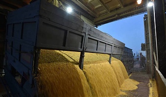 Разгрузка кукурузы в Украине. Фото: ©ФАО/Геня Савилов (Genya Savilov).   