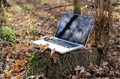 82% домохозяйств Литвы имеют доступ к интернету 82% домохозяйств Литвы имеют доступ к интернету