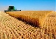 Закупочные цены на сельхозпродукцию в Литве за год выросли на 17% Закупочные цены на сельхозпродукцию в Литве за год выросли на 17%