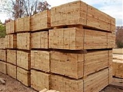 Экспорт латвийской лесной отрасли за четыре месяца вырос на 9,5% Экспорт латвийской лесной отрасли за четыре месяца вырос на 9,5%