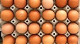 Литва сможет экспортировать яичные продукты в Новую Зеландию Литва сможет экспортировать яичные продукты в Новую Зеландию