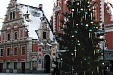 Рижскими елками будут отапливать библиотеку в Болдерае Рижскими елками будут отапливать библиотеку в Болдерае