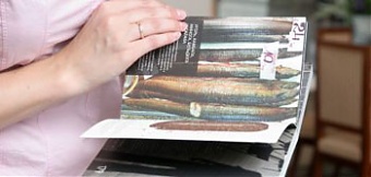 Этот путеводитель показывает Ригу несколько иначе, чем это делают