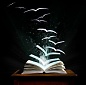 Книгоиздатели в Латвии: обзор отрасли Книгоиздатели в Латвии: обзор отрасли