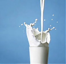 170220_milk_market.jpg
