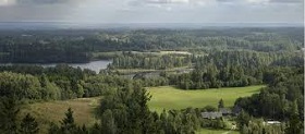 180109_estonian_forest.jpg