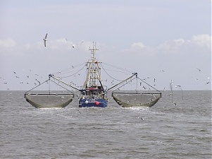 200928_trawler.jpg