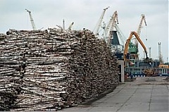 Экспорт лесной отрасли из Латвии за 2 месяца вырос на 12% Экспорт лесной отрасли из Латвии за 2 месяца вырос на 12%