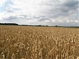 Топ-10: самые богатые земледельцы Латвии Топ-10: самые богатые земледельцы Латвии
