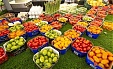 ФАО: Рост производства сельскохозяйственной продукции будет сдерживать рост цен в течение ближайшего десятилетия ФАО: Рост производства сельскохозяйственной продукции будет сдерживать рост цен в течение ближайшего десятилетия