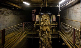 100902_slanec_polevkivi.jpg 100902_slanec_polevkivi.jpg