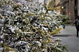 Европа к Рождеству смягчит ограничения Европа к Рождеству смягчит ограничения
