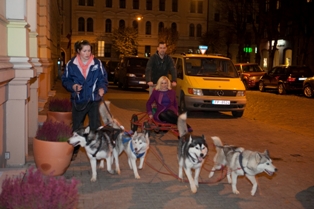 111122_Bisquit_sobaki.JPG