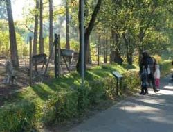 120210_zoopark_riga.JPG