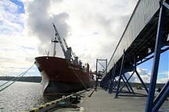 Начался экспорт зерна большими судами из Клайпедского порта Начался экспорт зерна большими судами из Клайпедского порта