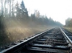 Литва предлагает Orlen льготный экспорт на Украину и в Беларусь вместо восстановления жд на Реньге Литва предлагает Orlen льготный экспорт на Украину и в Беларусь вместо восстановления жд на Реньге