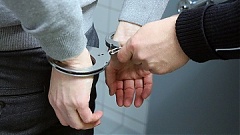 Раскрыта преступная группировка, совершавшая преступления в Интернете Раскрыта преступная группировка, совершавшая преступления в Интернете