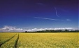 Оборот AS Oilseeds Trade в 2016 году упал на 13% Оборот AS Oilseeds Trade в 2016 году упал на 13%