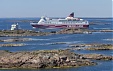 Viking Line перевез в июле более 1 млн. пассажиров Viking Line перевез в июле более 1 млн. пассажиров