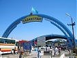 Казахстан примет новый Таможенный кодекс Казахстан примет новый Таможенный кодекс