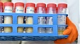 Латвийцам скормили 25 кг яичных продуктов с фипронилом Латвийцам скормили 25 кг яичных продуктов с фипронилом
