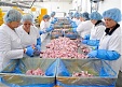 Птицефабрика Kekava начнет экспорт продукции в Японию Птицефабрика Kekava начнет экспорт продукции в Японию