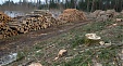 В 2017 году объем вырубки леса в Эстонии вырос до 14,3 млн. кубометров В 2017 году объем вырубки леса в Эстонии вырос до 14,3 млн. кубометров