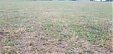 В Латвии объявлено стихийное бедствие государственного масштаба В Латвии объявлено стихийное бедствие государственного масштаба