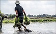 ФАО: цены на пшеницу на мировом рынке выросли в два раза ФАО: цены на пшеницу на мировом рынке выросли в два раза