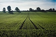 Литовский бизнес заработал 3 млрд. евро прибыли Литовский бизнес заработал 3 млрд. евро прибыли