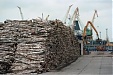 В Латвии выросли импорт и экспорт продукции лесной отрасли В Латвии выросли импорт и экспорт продукции лесной отрасли