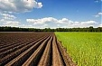 Озимые в Латвии посеяны в запланированном объеме Озимые в Латвии посеяны в запланированном объеме