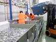 Российские аудиторы посетят рыбоперерабатывающие предприятия Эстонии Российские аудиторы посетят рыбоперерабатывающие предприятия Эстонии
