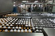 Украинская компания продвигает создание крупнейшей птицефабрики в Латвии Украинская компания продвигает создание крупнейшей птицефабрики в Латвии