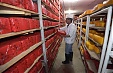 ФАО: Мировые цены на продукты питания снизились незначительно в июле ФАО: Мировые цены на продукты питания снизились незначительно в июле