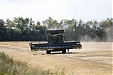 Рост мировых цен на продукты питания в октябре Рост мировых цен на продукты питания в октябре