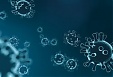 Covid-19: Китай помогает Литве и Польше масками Covid-19: Китай помогает Литве и Польше масками