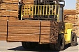Возрождается идея создания в Латвии завода по переработке балансовой древесины