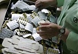 Латвийские предприниматели ищут рынка сбыта в Турции Латвийские предприниматели ищут рынка сбыта в Турции